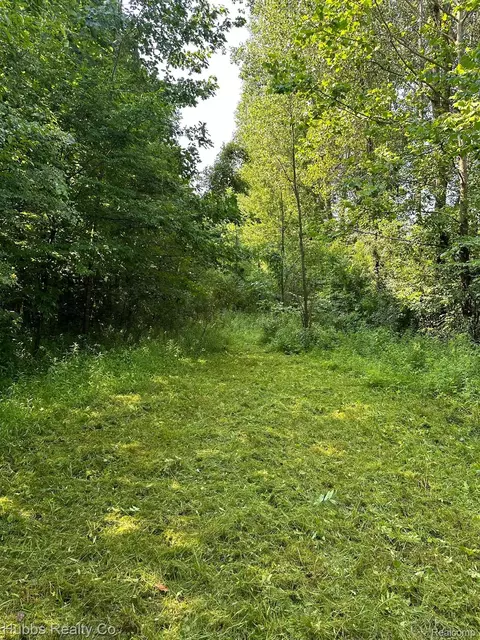 0000 Birch Run Rd, Arbela, MI 48746