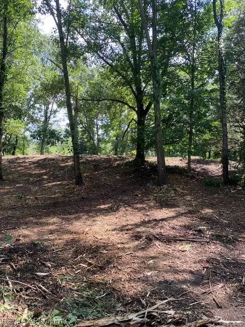 0 E Main-5 Acres St, Pinckney, MI 48169