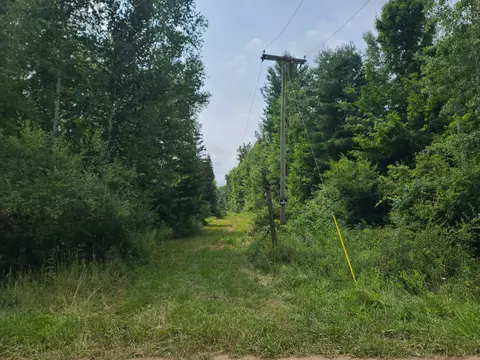 0000 Pringle Rd, Evergreen, MI 48726