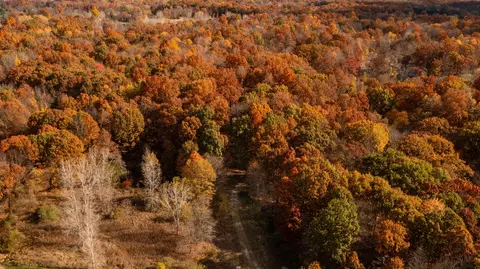 00 Tyler Woods Trl, White Lake, MI 48383