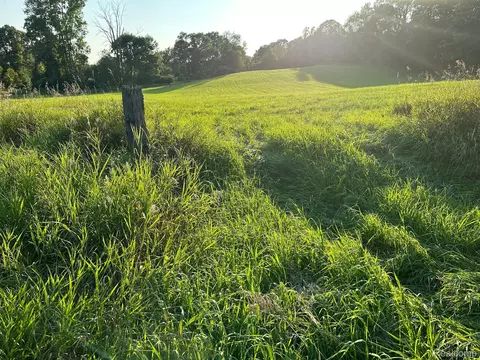 Vl Denton Hill Rd, Tyrone, MI 48430