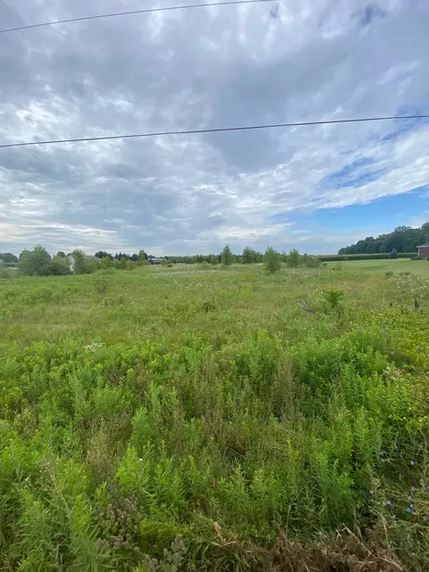 7400 Dryden Rd, Almont, MI 48003