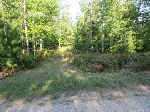 9 Pine Lodge Robinson Lk, Gerrish, MI 48653