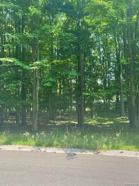 Lot J Hannah, Croswell, MI 48422