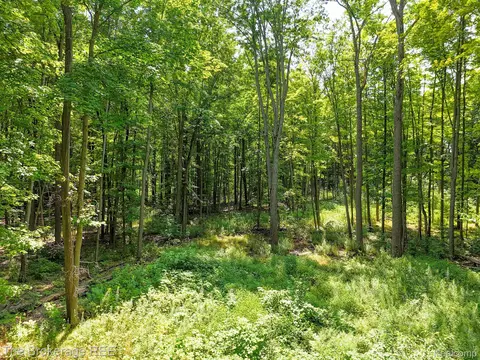 Vl Stump Rd, Mayfield, MI 48446