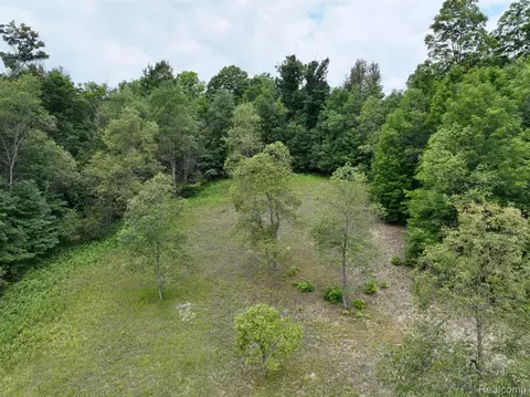 0 Leonard Rd, Chestonia, MI 49659