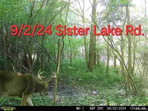Vl Sister Lake Road, Columbiaville, MI 48421