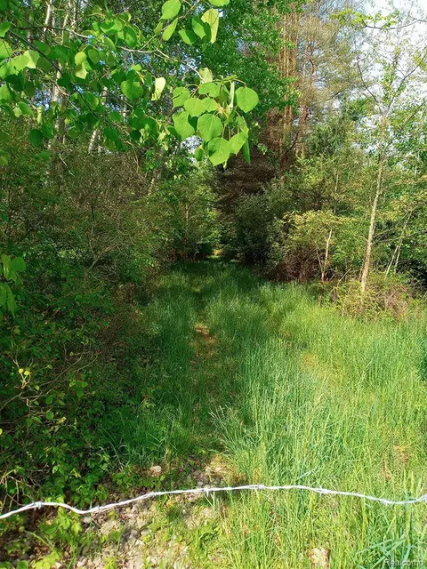 00000 County Line Rd, Burns, MI 48418