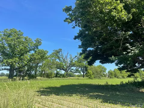 V/l Schrepfer Rd, Howell, MI 48855