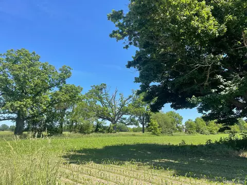 V/l Schrepfer Rd, Cohoctah, MI 48855