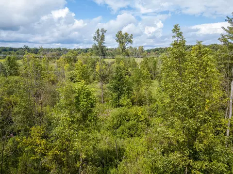 2267 Mason Rd, Marion, MI 48843