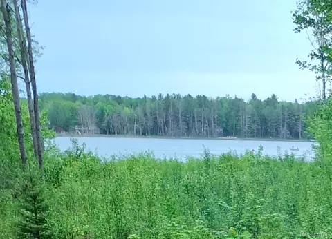 Land 99 Breezewood Dr, Mancelona, MI 49659