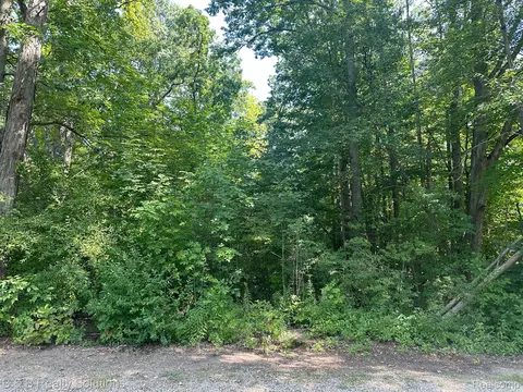 00 Indian Trl, Deerfield, MI 48421