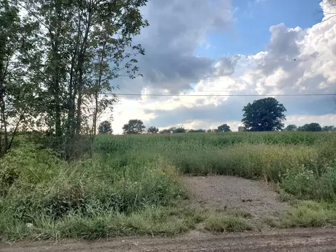 10090 Sharp Rd, Mundy, MI 48473