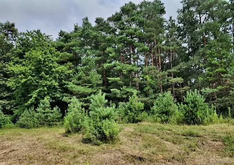 000 Lake George Rd, Oakland, MI 48363
