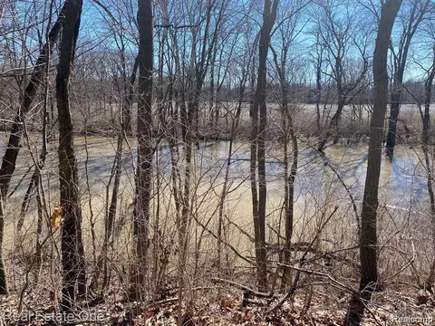 Vacant Stowell Rd, Dundee, MI 48131