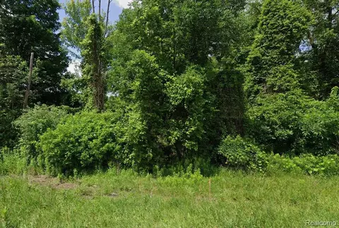lot4 S State Rd, Goodrich, MI 48438