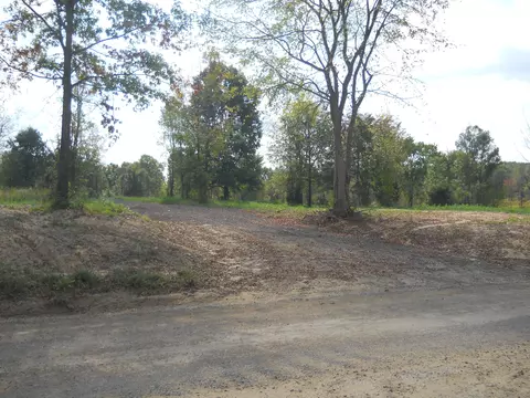Parcel 6 Bergin Rd, Oceola, MI 48843
