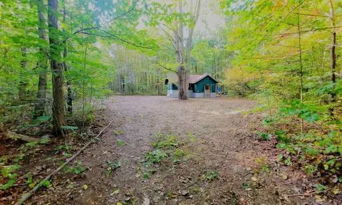 7528 Old Stump Rd, Hayes, MI 49735