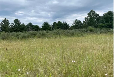 2520 Randall Rd, Big Creek, MI 48636