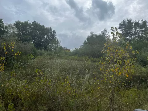 00 S Creek Lane, Dryden Township In Lapeer County With Fips Code Of 26