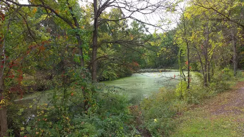 Vl Silverton Drive, Green Oak, MI 48189