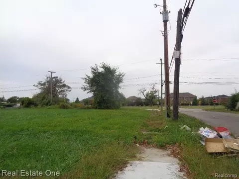 11719 Gable St, Hamtramck, MI 48212 photo 2