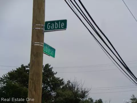 11719 Gable St, Hamtramck, MI 48212 photo 12