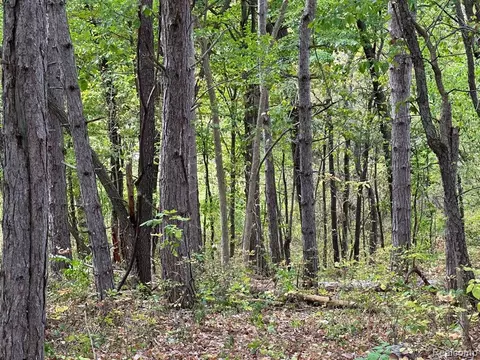 A Denton Hill Road, Fenton, MI 48430