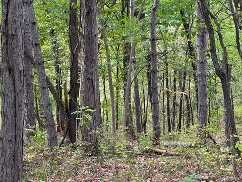 A Denton Hill Rd, Tyrone, MI 48430
