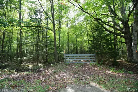 12000 Fergus Rd, Saint Charles, MI 48655