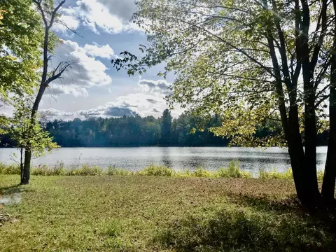 5867 Pine Ln, Posen, MI 49776