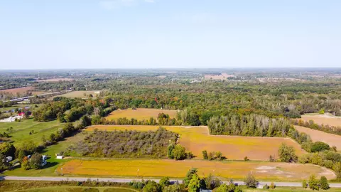 8390 Sparling Rd, Wales, MI 48027