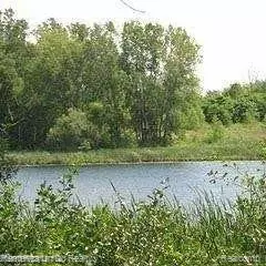 635 Walton Blvd, Pontiac, MI 48340