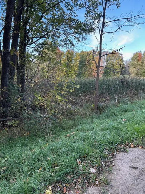 000 Hickory Nut Holw, Iosco, MI 48843