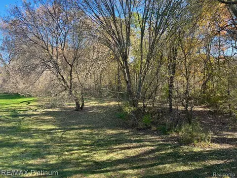 Vl Birch Tree, Fowlerville, MI 48836
