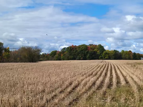 2 Blacks Corners Rd, Imlay, MI 48444