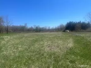 9062 Tower Rd E, Salem, MI 48178