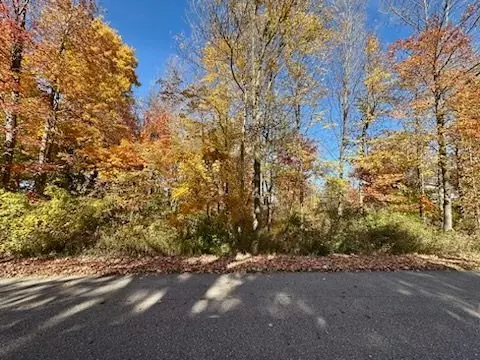 00 Collon Dr, Colfax, MI 48413