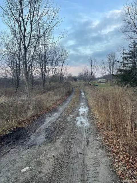 5300 W Allen, Cohoctah, MI 48836
