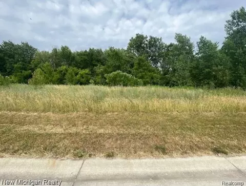 14329 Wright Dr, Fenton, MI 48451