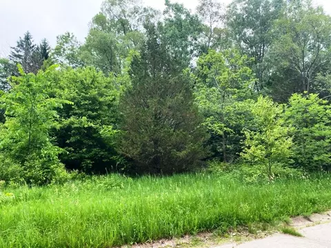 8223 Creekwood Dr, Mundy, MI 48439