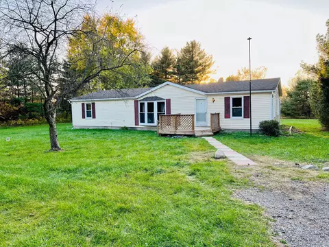 9800 S Byron Rd, Burns, MI 48429