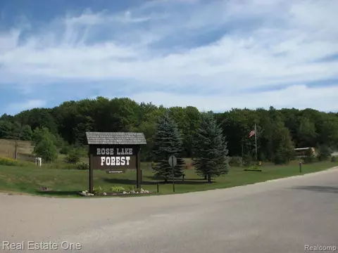 151 Hills Cir, Rose Lake, MI 49655