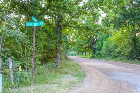 00 Tbd Hagerman Rd, Addison, MI 48367