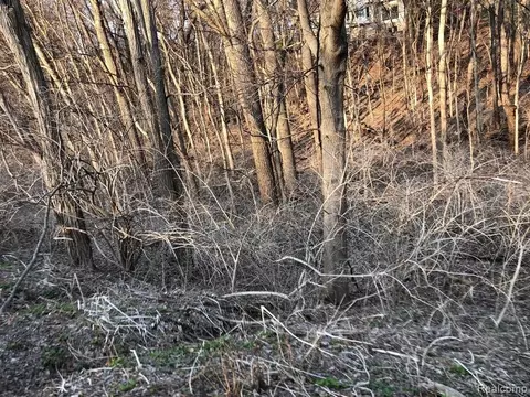 V/l Culver Rd, Brighton, MI 48114