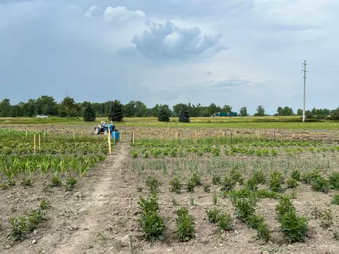 2601 Ray Ln, Imlay, MI 48444
