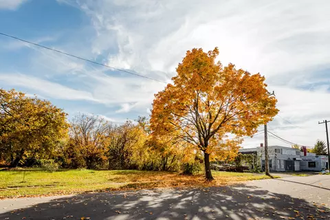 64 Kenilworth St, Detroit, MI 48202