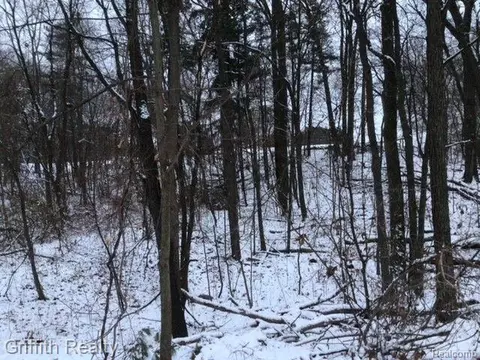 4510 Filbert Dr, Genoa, MI 48116