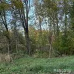 000 Coon Lake Rd, Genoa, MI 48843